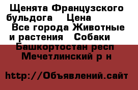 Щенята Французского бульдога. › Цена ­ 45 000 - Все города Животные и растения » Собаки   . Башкортостан респ.,Мечетлинский р-н